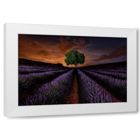 Untitled White Modern Wood Framed Art Print by Vega Toledano, Cesar