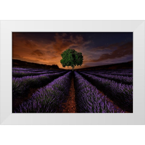 Untitled White Modern Wood Framed Art Print by Vega Toledano, Cesar