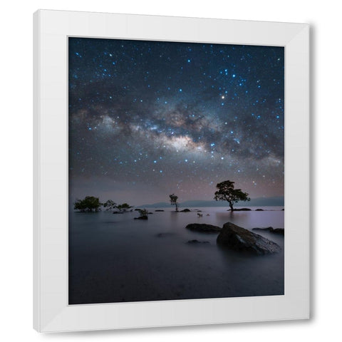 Chidiya Tapu White Modern Wood Framed Art Print by Chander, Vikas