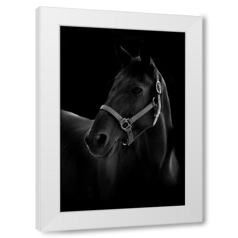 Horse White Modern Wood Framed Art Print by T, Yuya