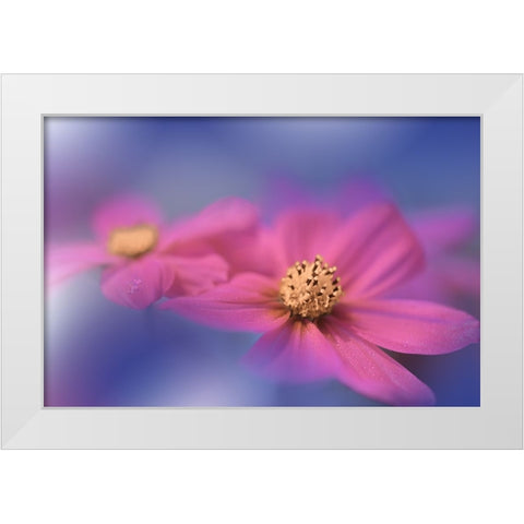 A Colorful World.. White Modern Wood Framed Art Print by Nan, Juliana