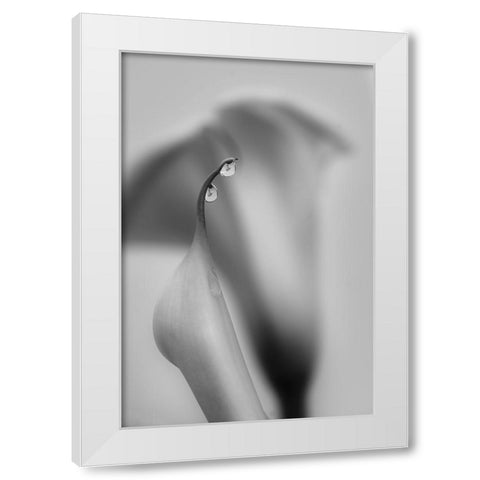 Two Drops White Modern Wood Framed Art Print by Chenglu, Simon