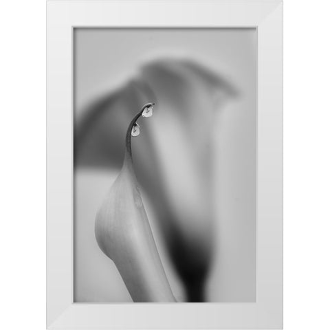 Two Drops White Modern Wood Framed Art Print by Chenglu, Simon