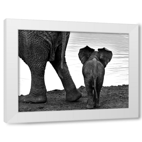 Together White Modern Wood Framed Art Print by Oberai, Jassi