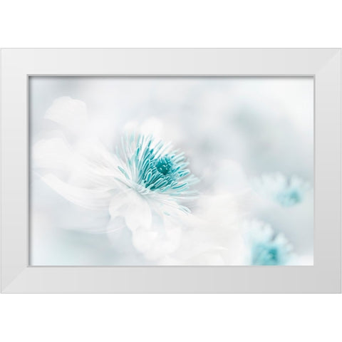 Nirvana White Modern Wood Framed Art Print by Parker, Jacky