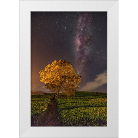 milky way White Modern Wood Framed Art Print by Liza, Lety