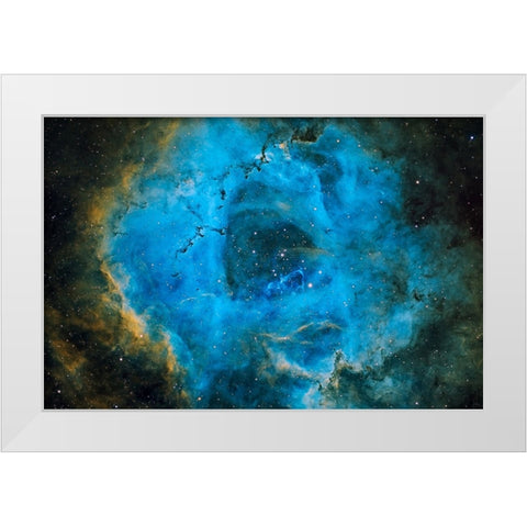Rosette White Modern Wood Framed Art Print by Chander, Vikas