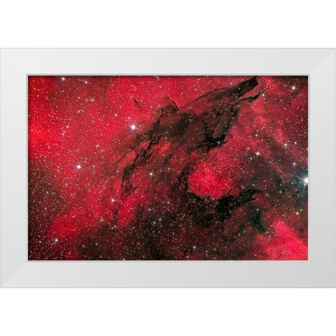 Hungry like the Wolf White Modern Wood Framed Art Print by Chander, Vikas