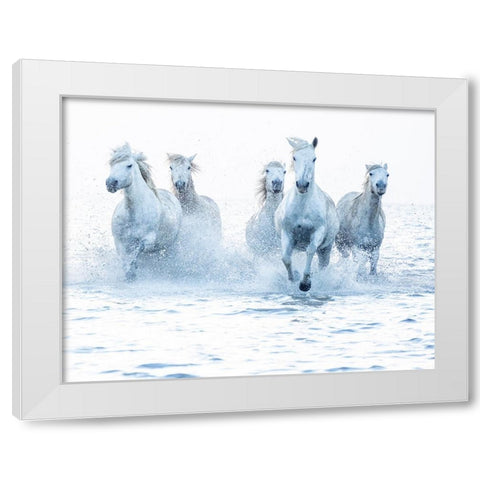 Horses on the Run White Modern Wood Framed Art Print by Zvelebil Phd, Marketa