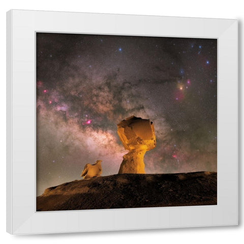 Mushroom White Modern Wood Framed Art Print by Chander, Vikas