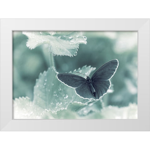 Spots A Drops White Modern Wood Framed Art Print by Williams, Stuart