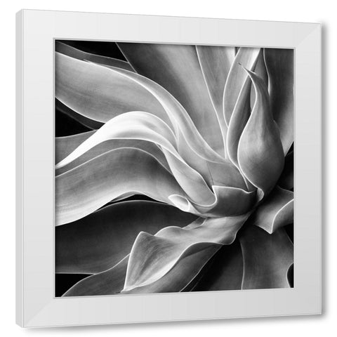 Agave Abstract, Summer 2022 White Modern Wood Framed Art Print by Wechsler, Robin