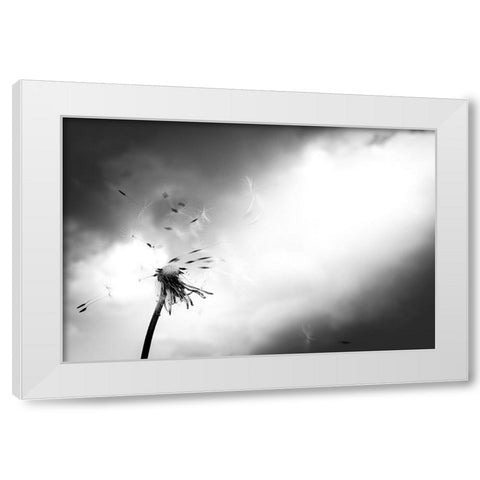 Breath of life White Modern Wood Framed Art Print by Goto, Satoru