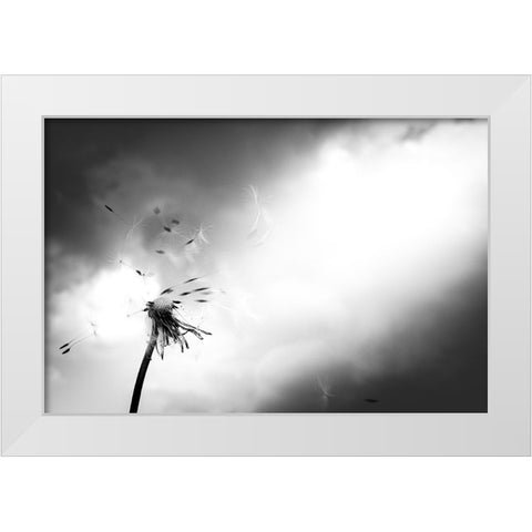 Breath of life White Modern Wood Framed Art Print by Goto, Satoru
