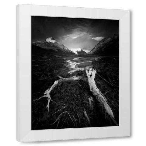 The Wild White Modern Wood Framed Art Print by Li, Bing