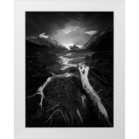 The Wild White Modern Wood Framed Art Print by Li, Bing