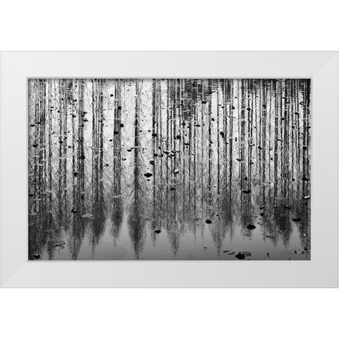 tall reflection White Modern Wood Framed Art Print by Kim, Youngil