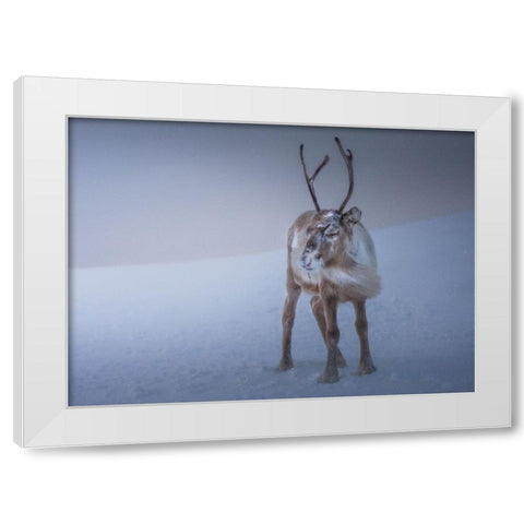 Against The Elements White Modern Wood Framed Art Print by Venier, Giovanni