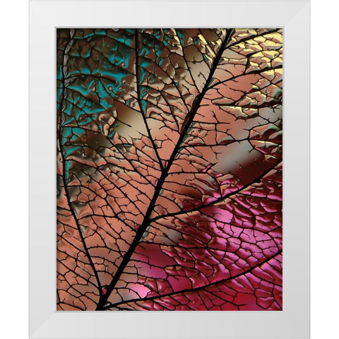 Glass Leaf White Modern Wood Framed Art Print by Lesica, Ivan