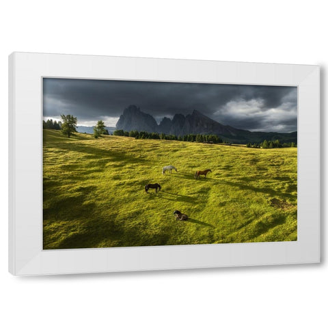 Horses in the Dolomites White Modern Wood Framed Art Print by Krivec, Ales