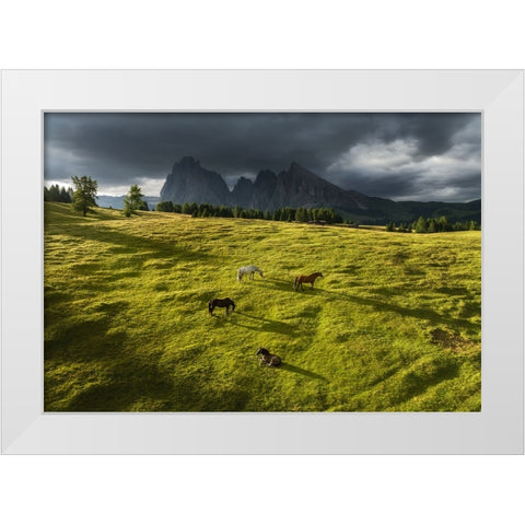 Horses in the Dolomites White Modern Wood Framed Art Print by Krivec, Ales