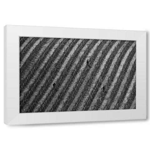 Vineyard White Modern Wood Framed Art Print by Mao, Yun