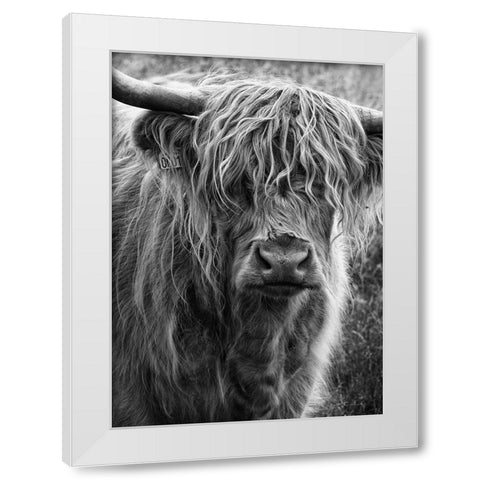 Highland cattle White Modern Wood Framed Art Print by Gronkjar, Lotte
