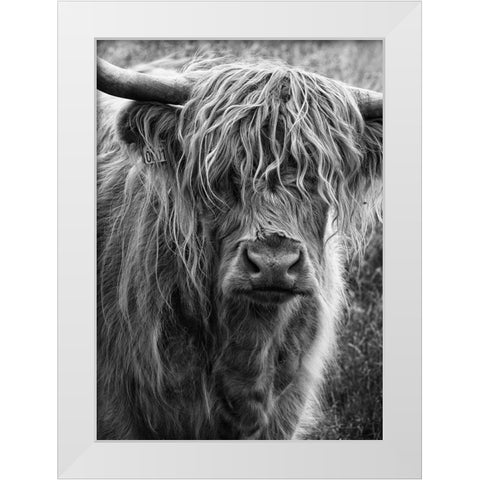 Highland cattle White Modern Wood Framed Art Print by Gronkjar, Lotte