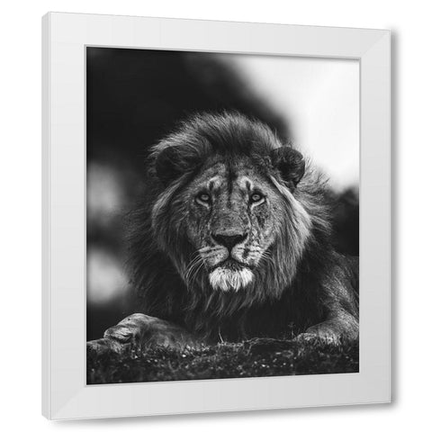 Ready White Modern Wood Framed Art Print by Sobhi, Ahmed