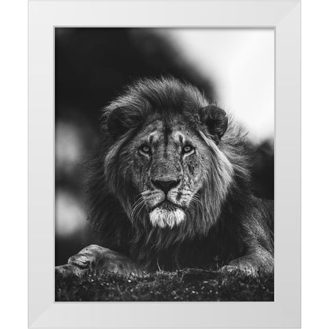 Ready White Modern Wood Framed Art Print by Sobhi, Ahmed