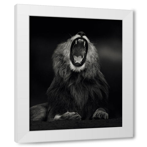 Yawning White Modern Wood Framed Art Print by Sobhi, Ahmed