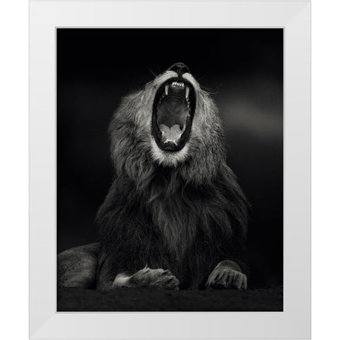 Yawning White Modern Wood Framed Art Print by Sobhi, Ahmed
