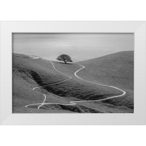 Lonely Tree White Modern Wood Framed Art Print by Mao, Yun