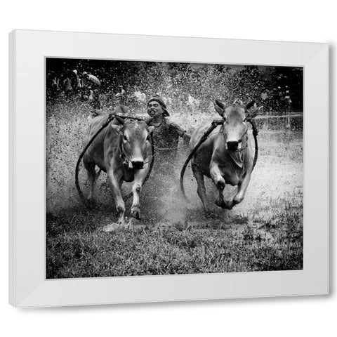 The Bulls Racing White Modern Wood Framed Art Print by Yuk Kong, John