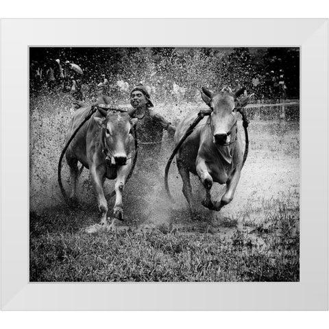 The Bulls Racing White Modern Wood Framed Art Print by Yuk Kong, John