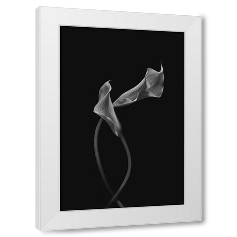 Two Loving Calla Lilies White Modern Wood Framed Art Print by Jacobs, Lydia