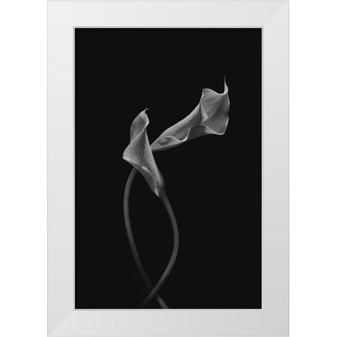 Two Loving Calla Lilies White Modern Wood Framed Art Print by Jacobs, Lydia