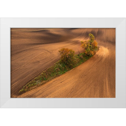 South Moravia White Modern Wood Framed Art Print by Kravanja, Jure