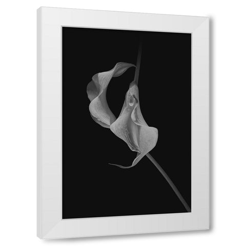 Close Talk White Modern Wood Framed Art Print by Jacobs, Lydia