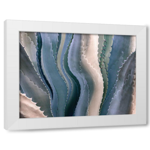 Sonoma Summertime Roadside Abstract White Modern Wood Framed Art Print by Wechsler, Robin