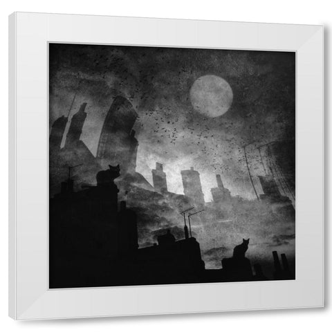 Black A White Cat Day... White Modern Wood Framed Art Print by Fabrowski, Robert