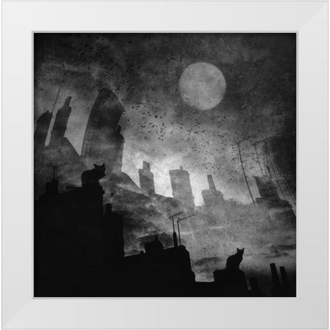 Black A White Cat Day... White Modern Wood Framed Art Print by Fabrowski, Robert