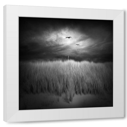 Marram Grass White Modern Wood Framed Art Print by Winkler, Jens