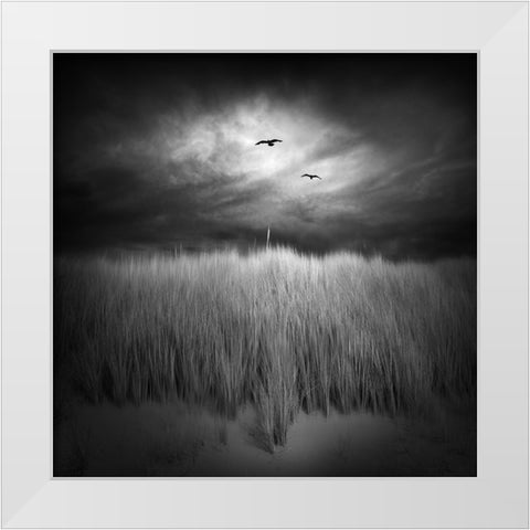 Marram Grass White Modern Wood Framed Art Print by Winkler, Jens