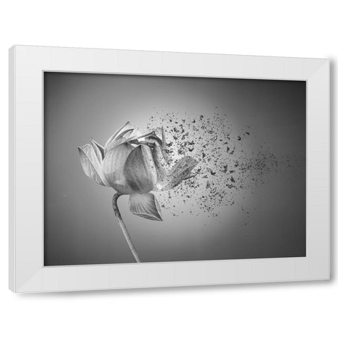 Flower White Modern Wood Framed Art Print by Lin, Lin
