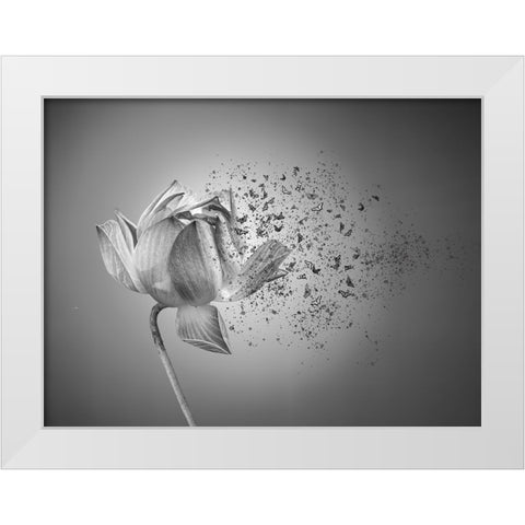 Flower White Modern Wood Framed Art Print by Lin, Lin