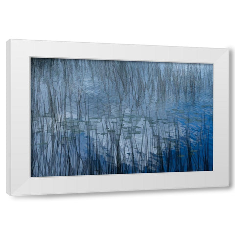 Abstract Riet White Modern Wood Framed Art Print by Bouhuijzen, Ina