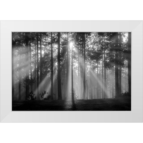 Light In The Snow White Modern Wood Framed Art Print by Alviani, Montserrat