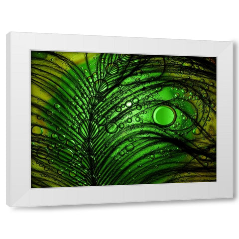 Feather Abstract White Modern Wood Framed Art Print by Lesica, Ivan