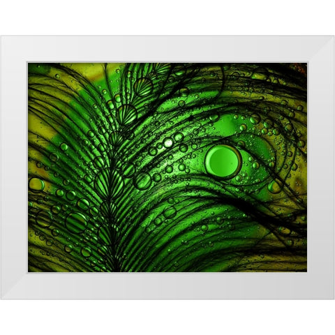 Feather Abstract White Modern Wood Framed Art Print by Lesica, Ivan